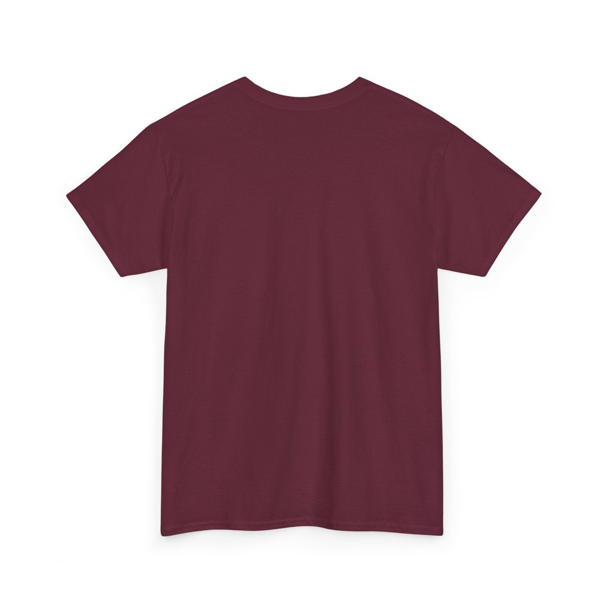 No Kings Shirt, Protest Graphic Tee