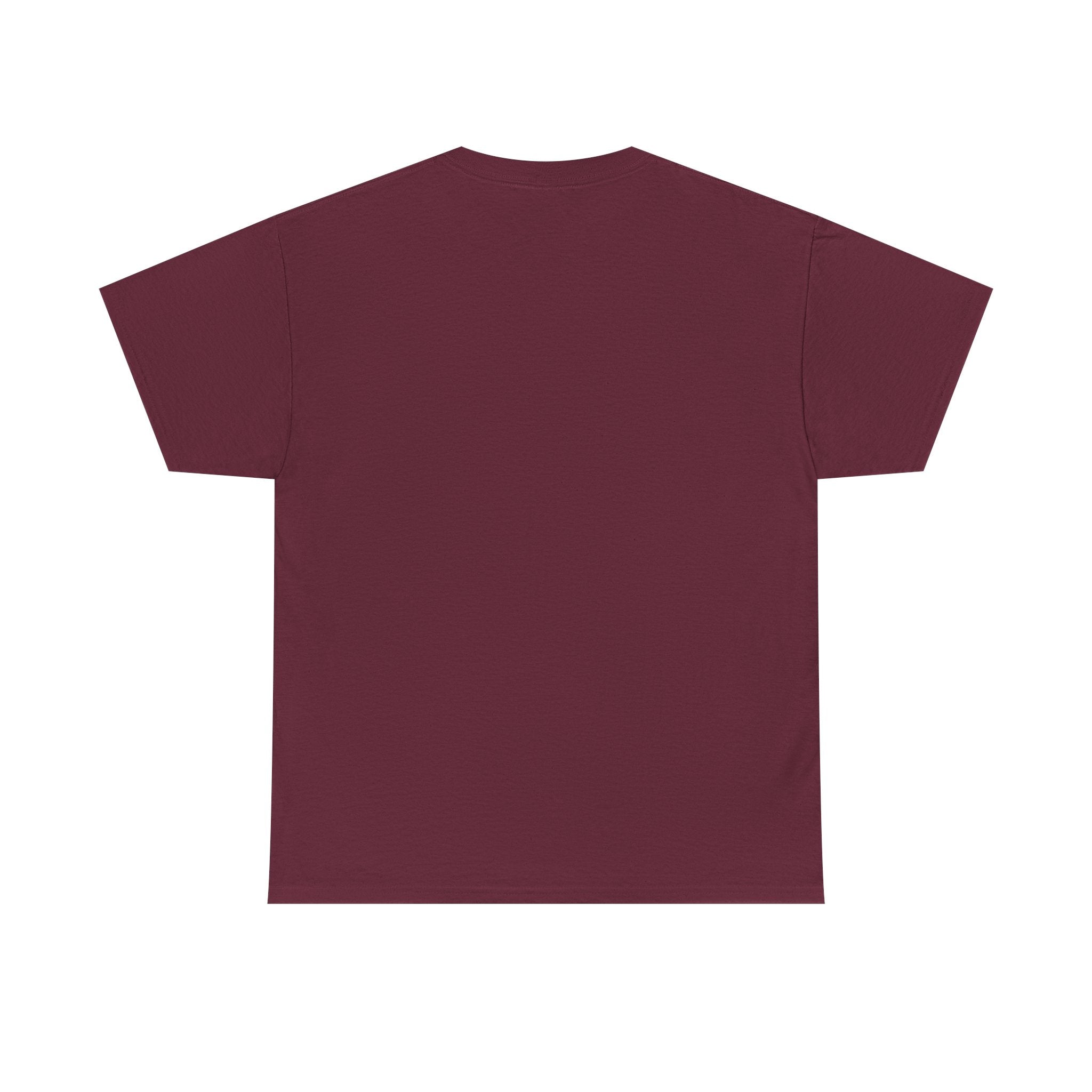 No Kings Shirt, Protest Graphic Tee