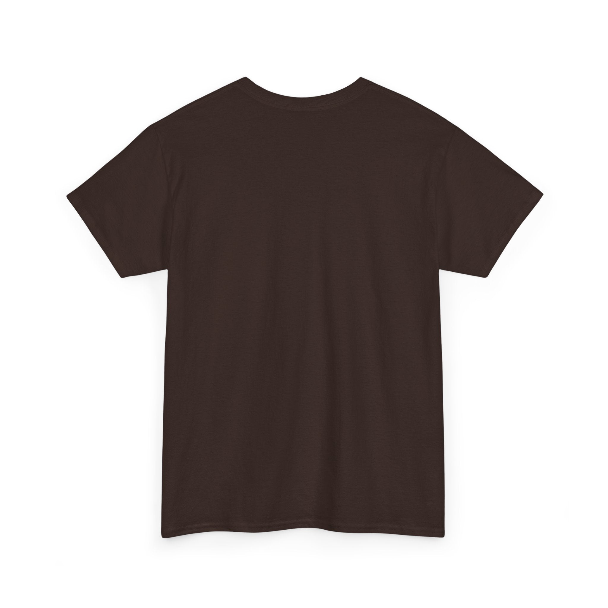 No Kings Shirt, Protest Graphic Tee