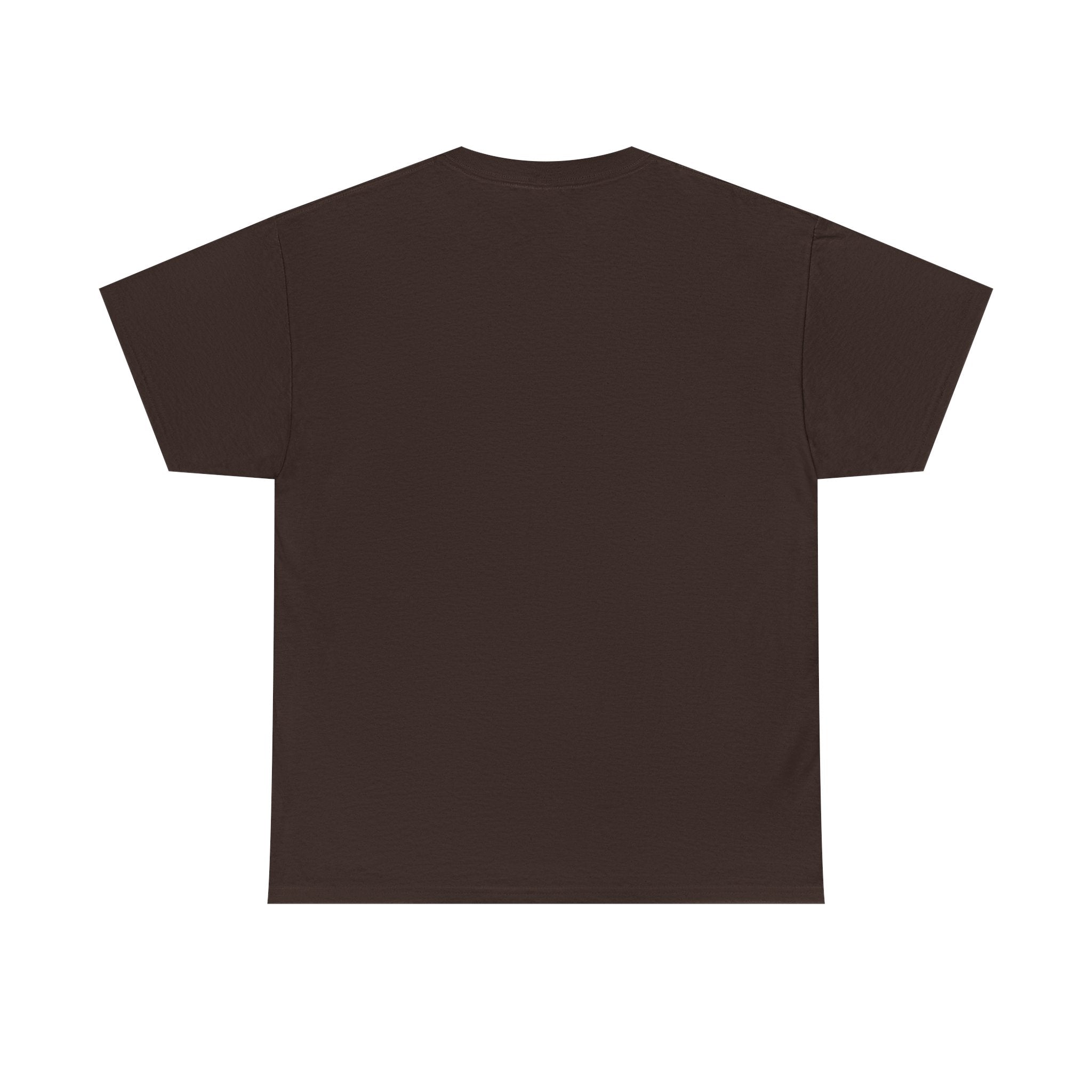 No Kings Shirt, Protest Graphic Tee